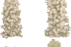 7 PIECE SET – CHAMPAGNE