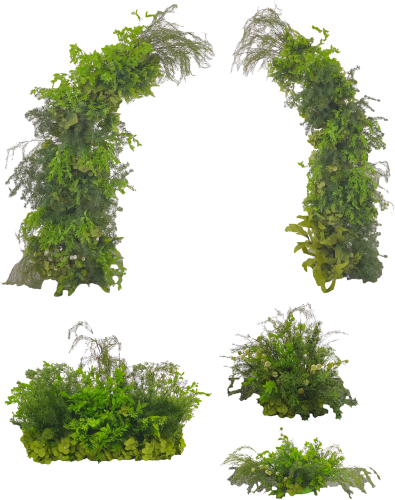 7 PIECE SET – GREEN