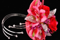Falling_Star_Beauty_Shot_2
