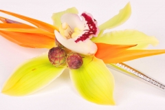Accent_Hairclip_Beauty_Shot
