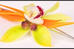 BS_Accent_Hair_Clip_(2)