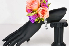 Blingz-Beauty-shot
