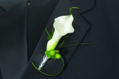 Calla Bout Beauty Shot