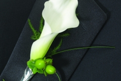 Calla Bout Beauty Shot