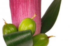 Copy_of_Calla_Bout_Sterling_Beauty_Shot_3