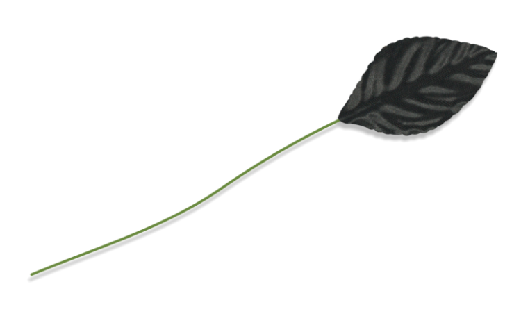CLASSIC-LEAVES-MA3840-BK