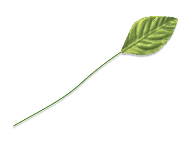 CLASSIC-LEAVES-MA3840-GR