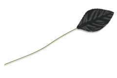 CLASSIC-LEAVES-MA3840-BK