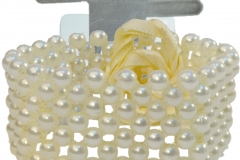 Color_Your_World_-_Champagne_-_CW1411