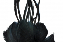 Argentina_-_Black_-_AR1410