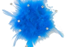 Cloud_9_-_Peacock_-_CD1315