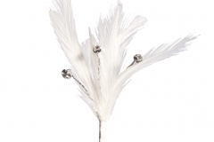 Copy_of_Copy_of_FL1212