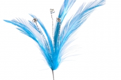 FL1201_Flutterzz_Peacock
