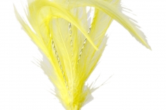 FL1218_Flutterzz_Yellow