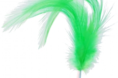 Flying_High_-_Lime_Green_-_FH1404L