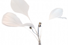 TW1312_Tweetie_White