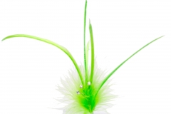 Twiggy_-_Lime_Green_-_TY1304