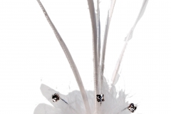 Twiggy_white_2