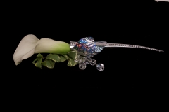 Accent_Beauty_Shot_(2)