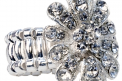 Everlasting_Ring_EV1303