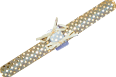 SNAPPIT-GOLD-LF00321