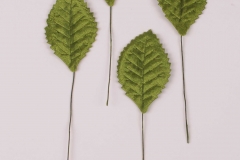 First_Class_Corsage_Leaves