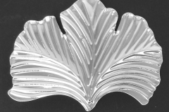 Ginkgo_Leaf