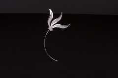 Leaves_Flowing_Willow