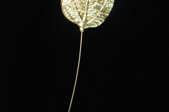 MG1308_Magical_Leaves_-_Gold