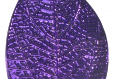 MG1389_-_Purple