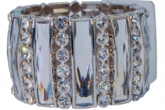 Show_Off_-_Dazzle_-_SW1403