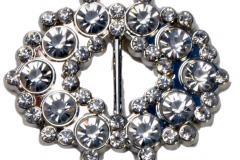 Bucklezz_-_Champagne_Bubbles_-_BB3003