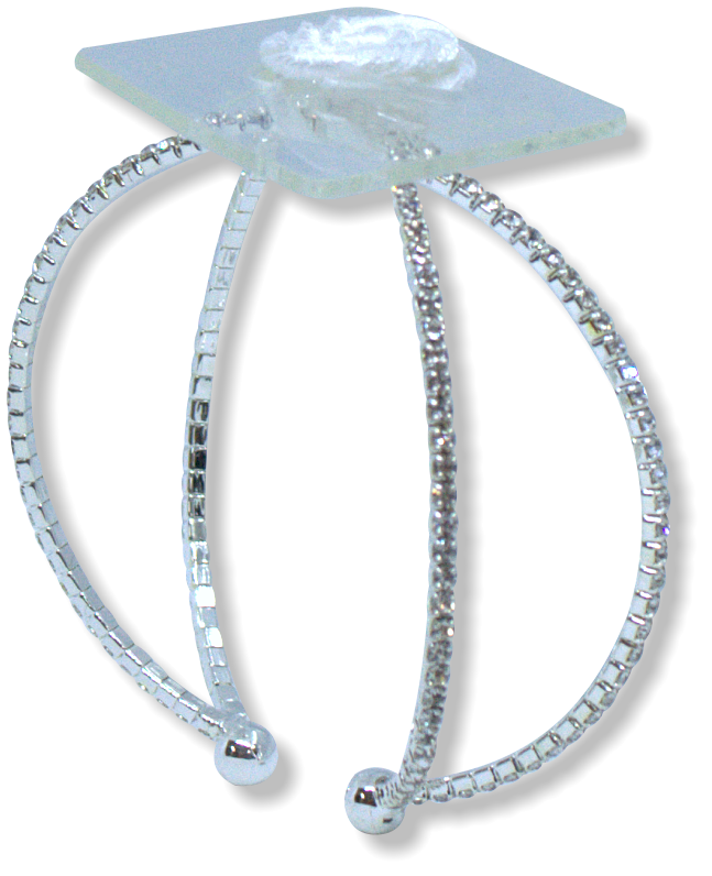 CROWN-JEWELS-SILVER-CJ1903