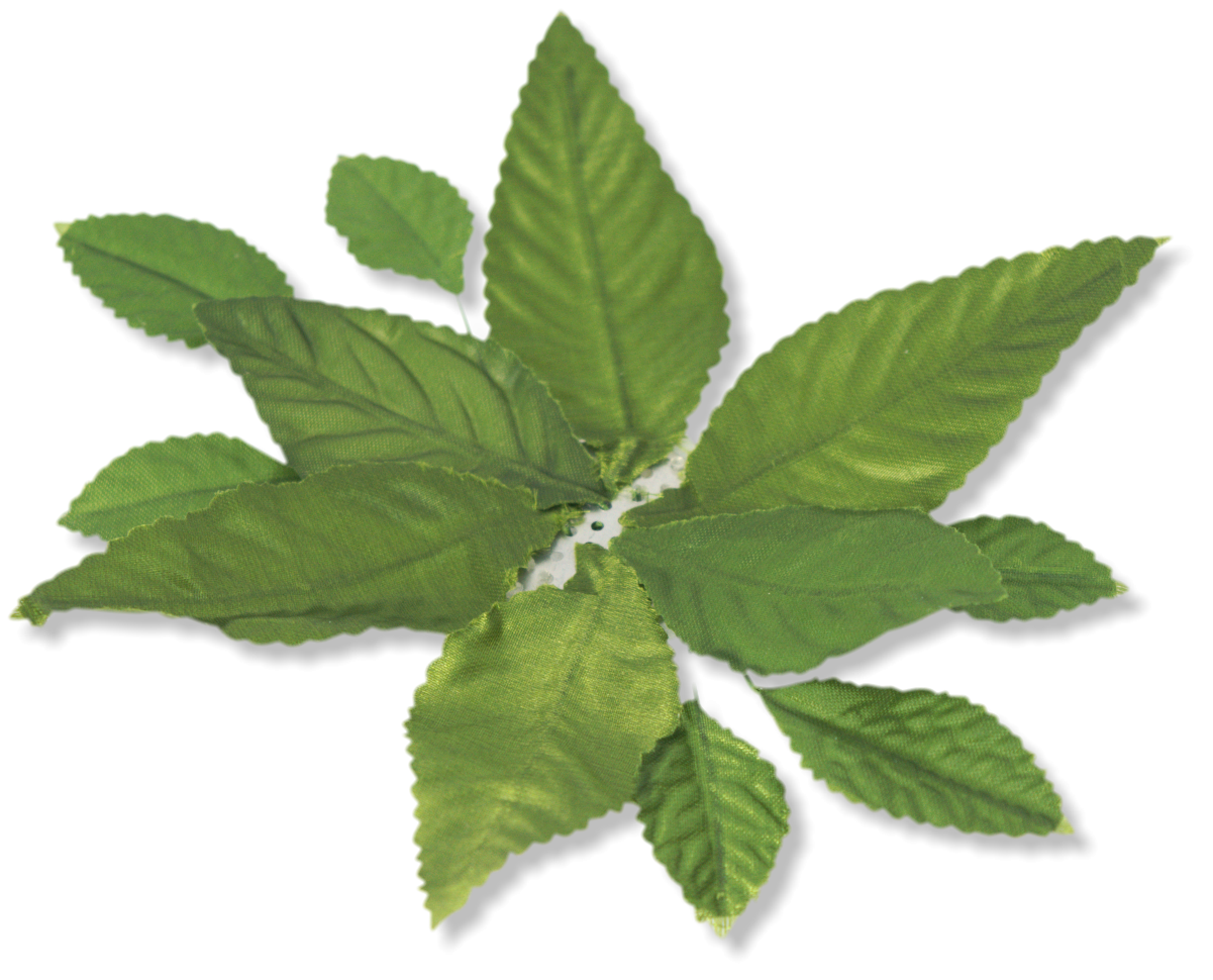 MA3600-MG-CORSAGE-BACK-GREEN