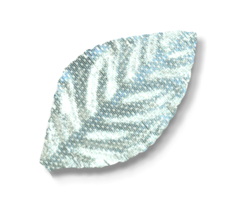 MA3843SI-LAME-LEAVES-SILVER