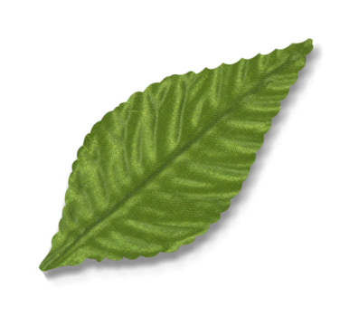 MA3850GR-LEAVES-3-INCH-GREEN
