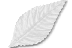 3-INCH-CORSAGE-LEAVES-MA3850-WH