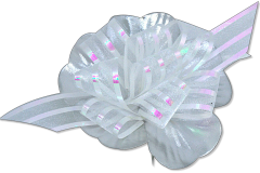 VIVIANS-BOX-OF-BOWS-VI1903