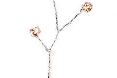 KK2313_Regal_Rhinestone_Peach