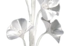 BC1612-Buttercups-6pcs