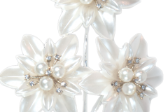 BF1612-Blooming-Gems