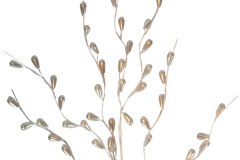 IP1611-Ivory-Pearl-Drop