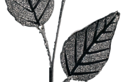 SW1707-Shimmering-Leaves