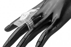 Design_Ring