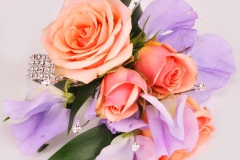 Rock_Candy_and_Fireworks_Beauty_Shot