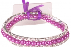 SA1205_Sarina_Sugar_Plum