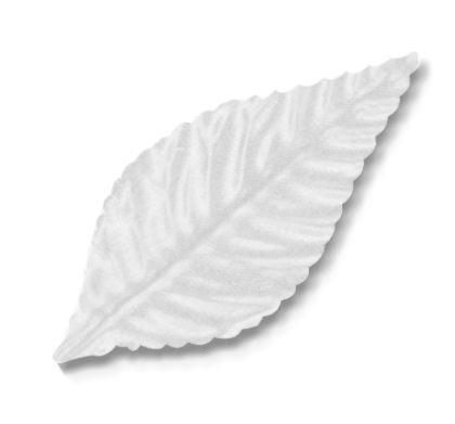 3-INCH-CORSAGE-LEAVES-MA3850-WH